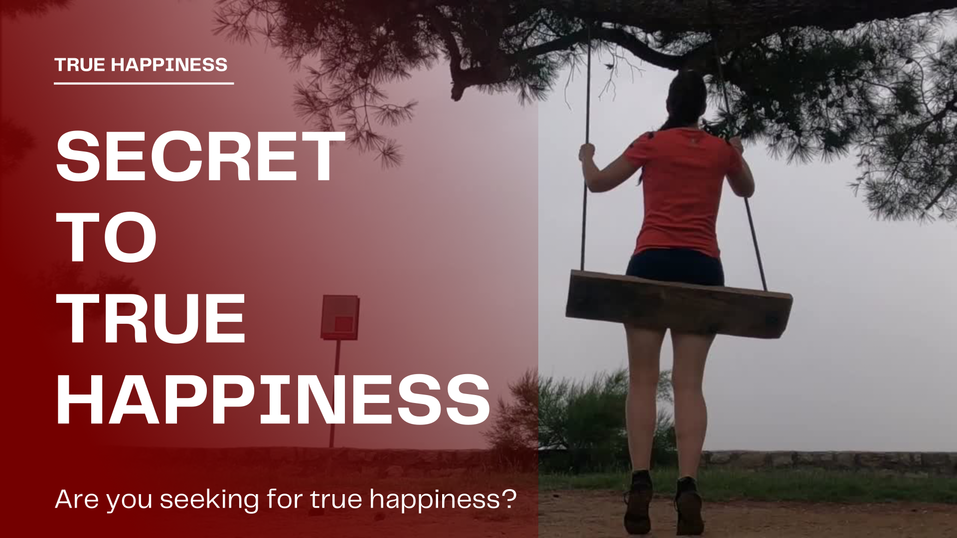 How to find happiness in life